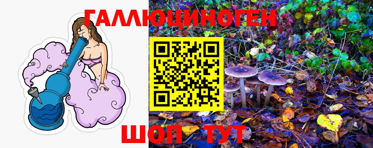 Псилоцибиновые грибы Magic Shrooms Бийск