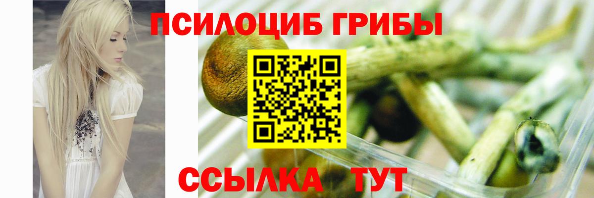 Псилоцибиновые грибы Cubensis  Вход с VPN  Бийск 