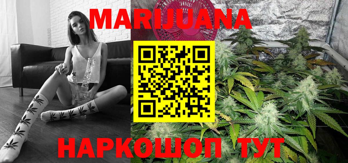 Бошки Шишки план Бийск